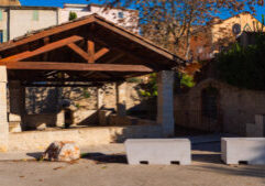 26102025-26102025-P1022510